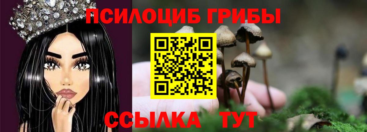 купить  цена  Псилоцибиновые грибы мухоморы  Вход с VPN  Лосино-Петровский 